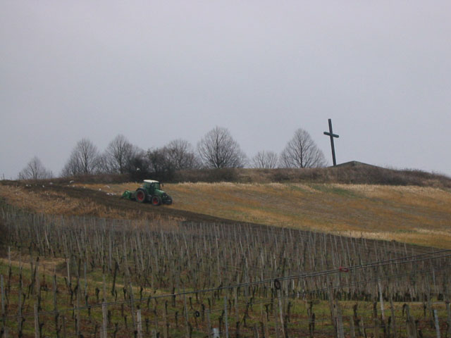Einsatz der Spatenmaschine auf Rebfl&auml;chen